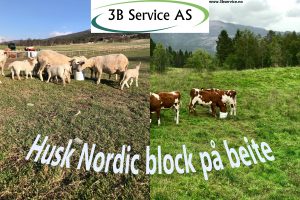 Nordic block